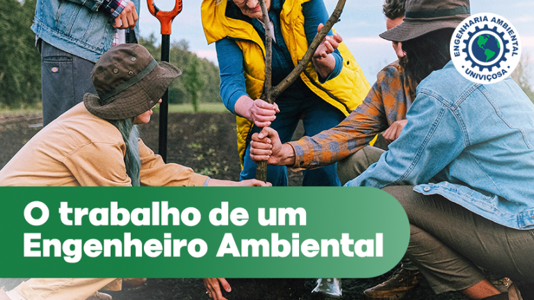 O trabalho de um Engenheiro Ambiental – Blog – Univiçosa